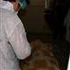 �anl�urfada ��pheli �l�m