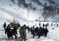 Bitlis'te ��� d��t�