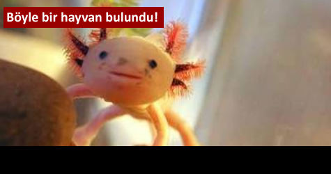 Herkes y�z�ndeki ifadeyi konu�uyor