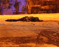 Bombac�n�n kimli�i tespit edildi