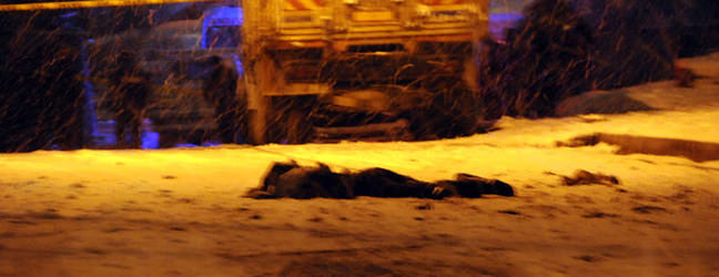 Pimi �ekti! Polis b�lgeyi �evirdi