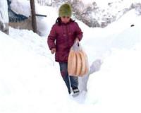 Bitlis'te e�itime kar engeli