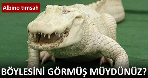 B�ylesini g�rm�� m�yd�n�z