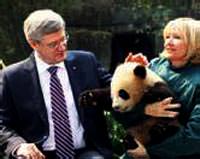 �in'den Kanada'ya iki panda