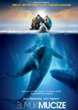 Big Miracle