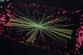 Yeni bir atomalt� par�ac�k bulundu