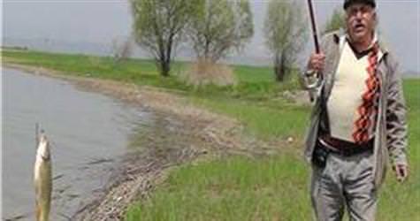 Tarladan bal�k topluyorlar
