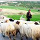 �talyan gen�leri �oban oluyor