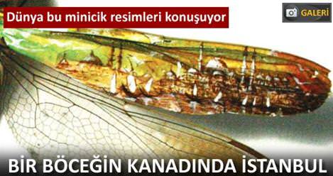 Tek bir sa� teline �stanbul�u �izecek