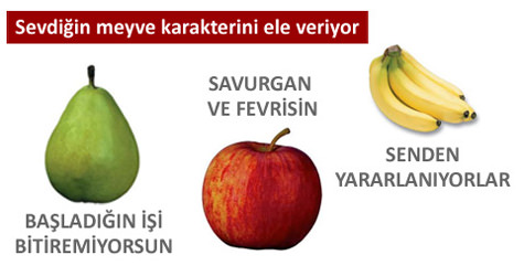 SEVD���N�Z MEYVE