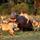 Ya�am sava�� kameraya yans�d�
