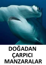 �lk kez g�r�ld�