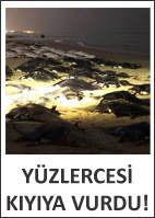 Y�zlercesi k�y�ya vurdu