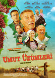 Umut �z�mleri