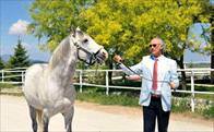 Safkan şampiyona devlet koruması