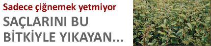 Sadece çiğnemek yetmiyor