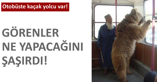 Otobüste kaçak yolcu var!