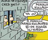 Bizimcity
