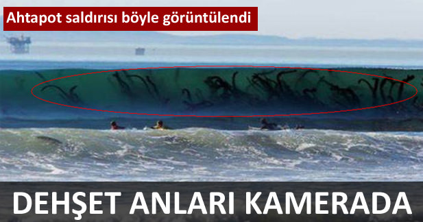 Ahtapot saldırısı böyle görüntülendi