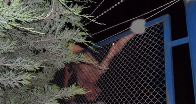 Bonzai içen genç, tellerde asılı kaldı