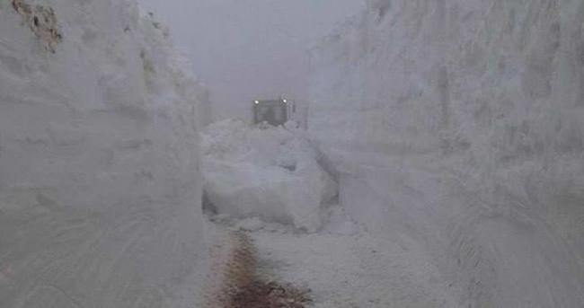 Ordu'da kar mücadelesi