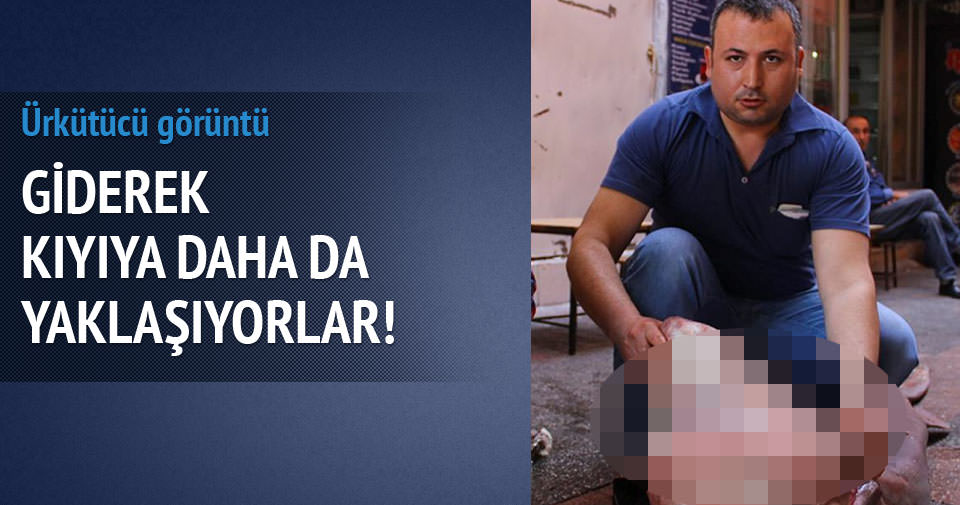 http://i.sabah.com.tr/sbh/2015/05/12/960x505/1431438593681.jpg