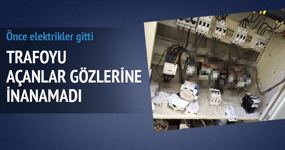 ELEKTRİK KESİNTİSİNİN NEDENİ YILANMIŞ