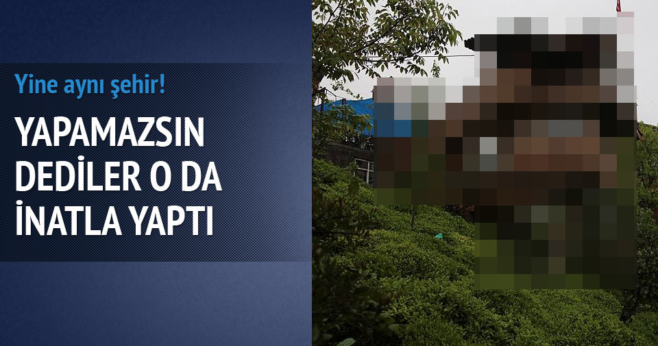 Kuzenine inat ceviz ağacına ev yaptı