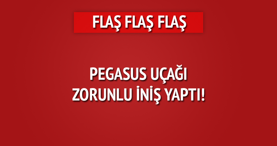 PEGASUS UÇAĞI ZORUNLU İNİŞ YAPTI