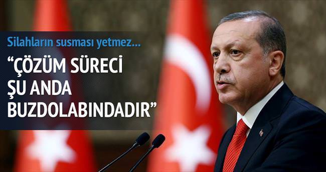 'Silahlar gömülene dek mücadelemiz sürecek'