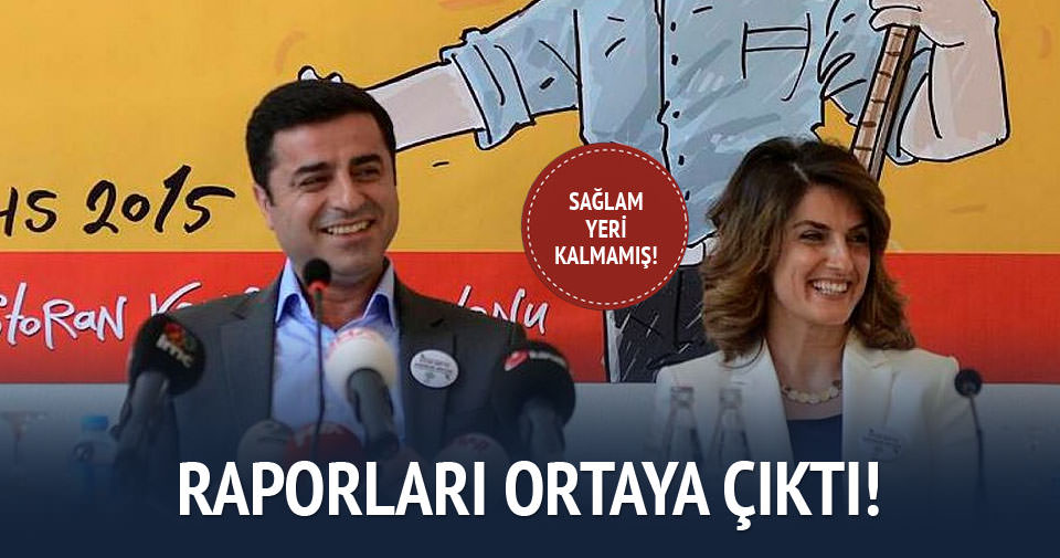 Demirtaş'ın eşinden düzmece raporlar