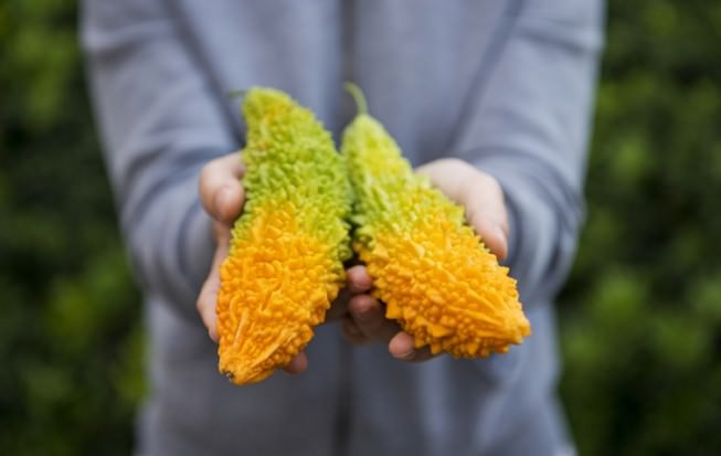 Kudret narı mucizesi