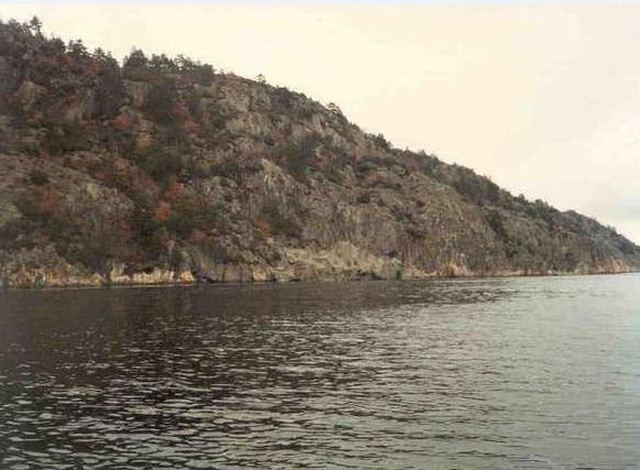 Şaşırtıcı gemi kamuflajları