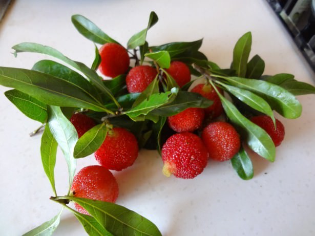 İyi gelmediği bir şey yok!