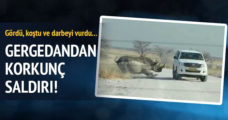 Hayvanların insanlara saldırdığı anlar