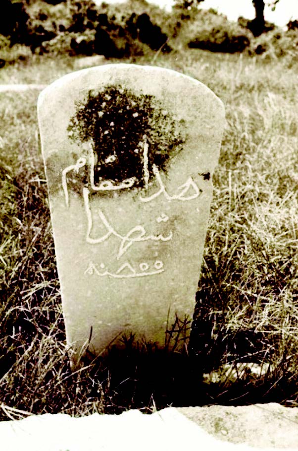 Boğaziçi Üniversitesi şehitlerimizin kemiklerini sızlattı