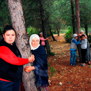 CHP'li belediyeye ağaç katliamı isyanı