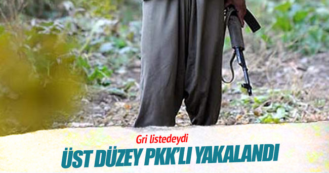 Üst düzey PKK'lı İstanbul'da yakalandı!