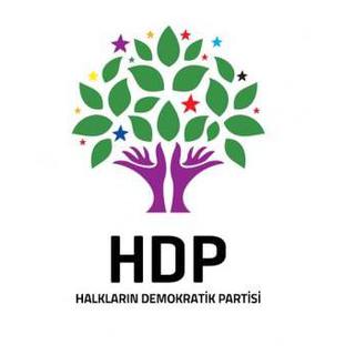 Dünya desteklerken HDP 'işgal' dedi