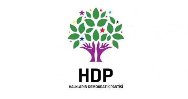 Dünya desteklerken HDP 'işgal' dedi