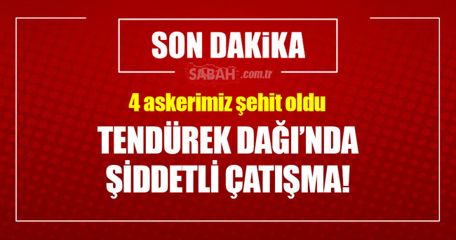 Tendürek Dağı'nda şiddetli çatışma!