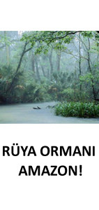 R�ya orman� Amazon