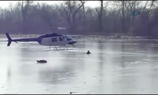 Helikopterli geyik operasyonu...