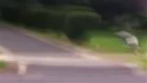 Vah�i Pitbull'lar kad�na b�yle sald�rd�